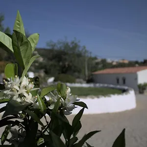 Swimming Pool Quinta Da Eira 140 Years Old Appartement